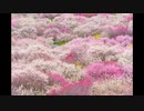 [東方自作アレンジ] 向春　梅の花の咲く頃　原曲：春の氷精(妖精大戦争)×天空の花の都(妖々夢)
