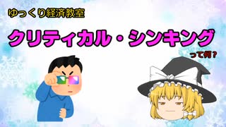 クリティカルシンキングって何？【魔理沙と霊夢のゆっくり経済教室】#ゆっくり解説