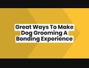 Great Ways To Make Dog Grooming A Bonding Experience