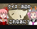 【琴葉姉妹の浜歩き】クイズ：浜辺のシロモノこれなあに？【VOICEROID解説】