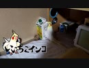 いいちこインコ最後のボコボコ
