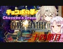 [FF9]ついつむナイン【三十四節目】