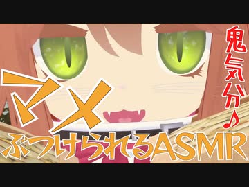 豆ぶつけられるASMR