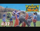 【実況】自由な冒険者達 #37【悠々閑々スカーレット】