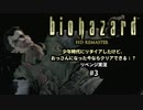 バイオハザード実況03 幼少期の頃にクリアできなかったけど、おっさんになった今ならクリアできるよね？リベンジプレイ。