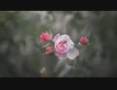y2mate.com - Awesome Ci