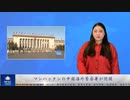 マンハッタンの中国海外警察署が閉鎖