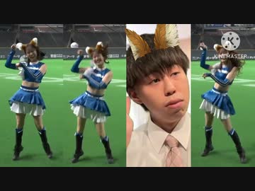 アルパカのきつねダンスとか得意ですよ