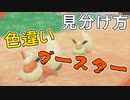 色違いブースターの見分け方【ポケモンSV】