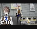 見てはいけないものほど見たくなる 【The Caligula Effect: Overdose/カリギュラ オーバードーズ】 #30