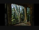 Indie Dance Mix 3