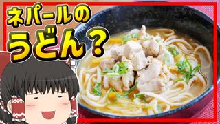 【猫田のインド料理】キリっとスパイシー！カレーうどんに似てるけどちょっと違うネパールのスパイシーな麺料理、チキントゥクパ