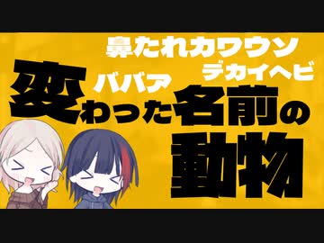 【動物のことを話したい#11】変わった名前の動物