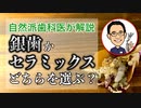 【自然派歯科医が解説】銀歯とセラミックスどちらを選ぶ？ #高橋浩司 #歯科医