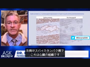 続き　ターボ癌になるメカニズム