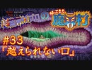 超魔界村プロの【帰ってきた魔界村】実況#33『越えられない口』