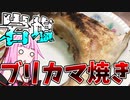 【塩焼き】岩塩使ってブリカマの塩焼き作ってみた！！【はがすき】