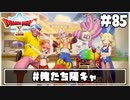 【ドラクエ10】ネット繋がってないからオフライン版で遊ぶ【初見実況】#85
