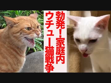 勃発！家庭内ウチュー小戦争(リトルスターウォーズ)