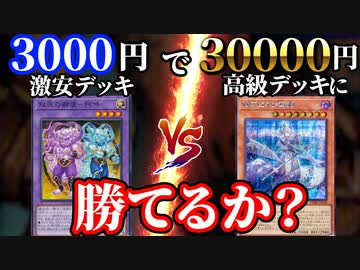 値段差10倍！3000円の激安デッキで30000円の高級デッキに勝てるか！？