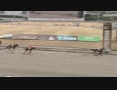 2023年2月3日川崎競馬3R 3歳-7イ ヘルシェイク