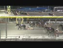 2023年2月4日帯広競馬11R 六花特別(OP-1) コマサンブラック