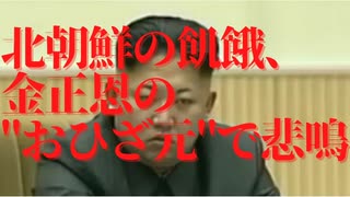 【時事】「死ぬよりつらい」北朝鮮の飢餓、金正恩のおひざ元で悲鳴