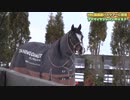 【特別公開】競馬バスツアーで”ゴルシ”に”ジャパン”も！オジュウチョウサン最新映像！