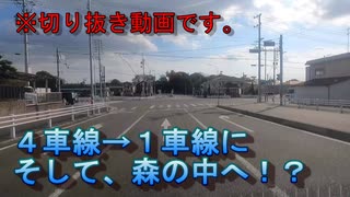 【切り抜き版】ひたすら道なり劇場　第6回　伏見通【森の中へ入る！？】