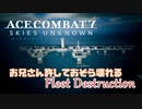 お兄さん許しておそら壊れる.Fleet Destruction