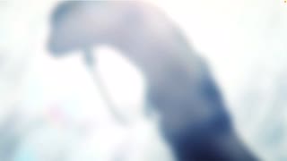無課金初期勢のFGO　黄金樹海紀行ナウイ・ミクトラン編　part43