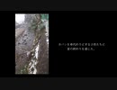 まっしゅん「飛行」Music Video
