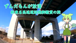 【自転車車載】ずんだもんがほうとう　新東名高速道路橋脚鑑賞の旅