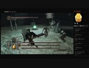 【DARK SOULS II】冒された盗掘者／古い戦士ヴォーグ／古い探索者セラ（めるなま録画）