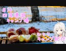 ひとりキャンプ紀行＃16「綿雪の舞う、鴉雀無声の地」【Cevio車載】【四尾連湖キャンプ場】
