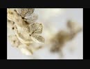 [TRANCE] Mixed by aki 2023/02/05
