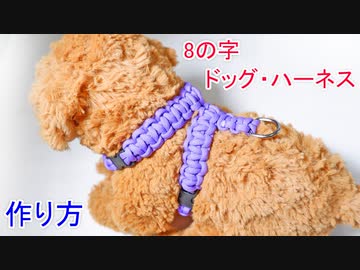 【ワンちゃんのお散歩用に 最適】パラコードで8の字 ハーネス作ってみた！