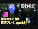 【生声実況】遥を攫うの無しにしない？【龍が如く1 極  実況プレイ part14】