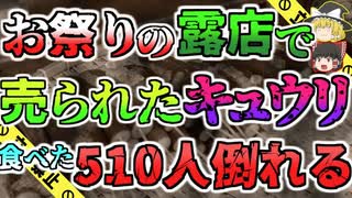 【ゆっくり解説】お祭りで販売されたキュウリを食べた510人が食中毒で倒れた安倍川花火大会集団食中毒事件