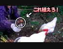 【ぴ】サバイバル備蓄　食糧難はこれを栽培すれば乗り切れます　自給自足