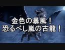 【MHR:SB】超カムラ人琴葉葵のサンブレイク part26