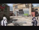 【CoD:MWⅡ】LACHMANN-556のアリミリ実況プレイ28
