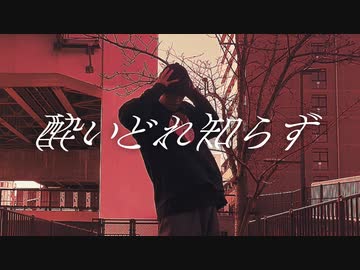 【ロクハ】酔いどれ知らず 踊ってみた【フリームーブ】