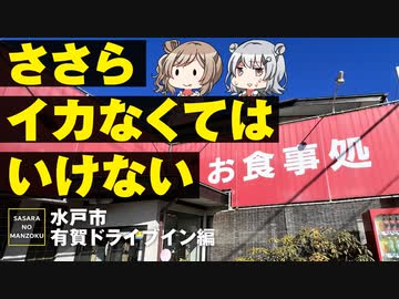 【絶品イカ唐揚げ】有賀ドライブインに行ってきました【CeVIO旅行/ささらのまんぞく】