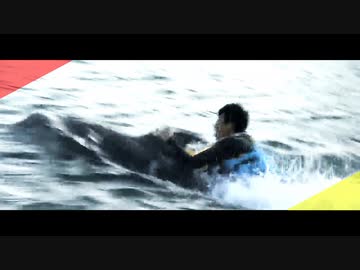 修造がイルカになった回