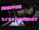 【釣り動画】愛知県半田港までヒイカ釣りに行ってきました！