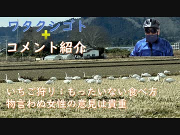 （私事）苺狩り「ヘタに付いた実を捨ててはもったいない」【アラ還・読書中毒】コメント：飲尿療法とかもある：アメリカはアラモとかタイタニックとか常に偽旗作戦だよ：愛国者ヅラしててワクチンには一切触れない