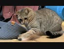 遊べといっておいて…