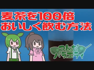 麦茶が100倍おいしくなる魔法を紹介するずんだもん