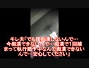 「女性専用車両ですが？」「痴漢しないんで大丈夫です」